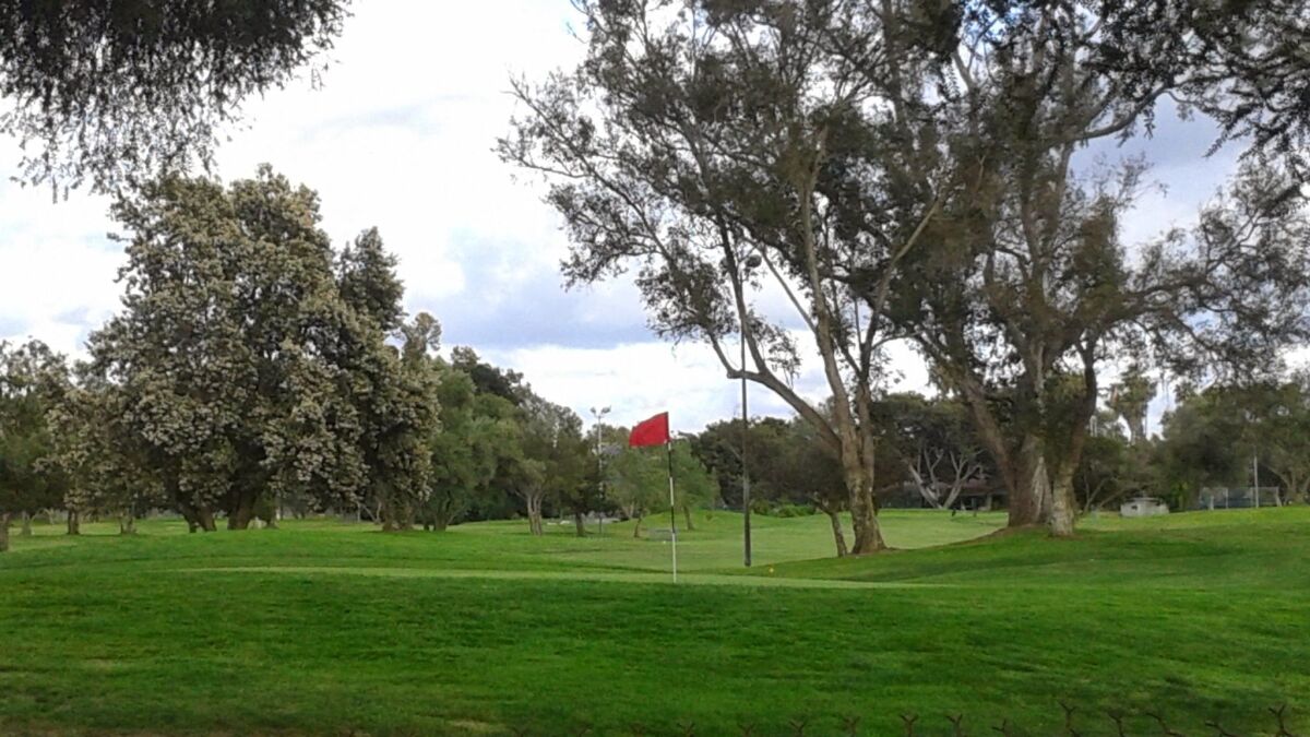 Mission Bay Golf Course — Ricky Young