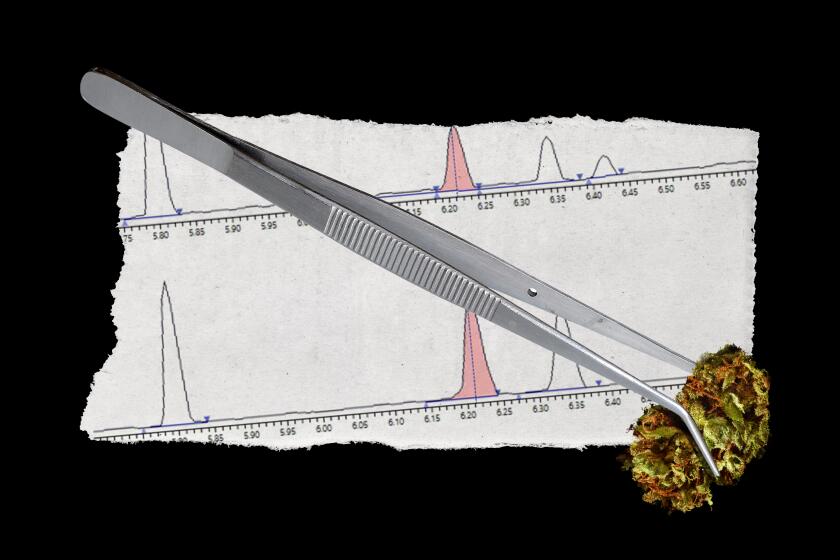 photo illustration of cannabis in a pair of tweezers over a parabolic graph of test results