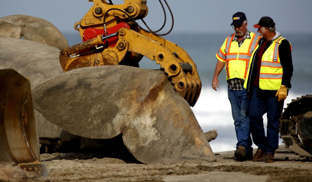 The process of removing a whale carcass from the shoreline along San Onofre State Beach begins Thursday morning. The whale died at sea before washing up April 24 near Lower Trestles, a popular surfing destination near the Orange County-San Diego County border.