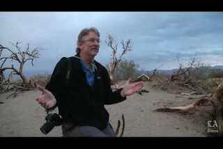 Postcards From the West | Death Valley