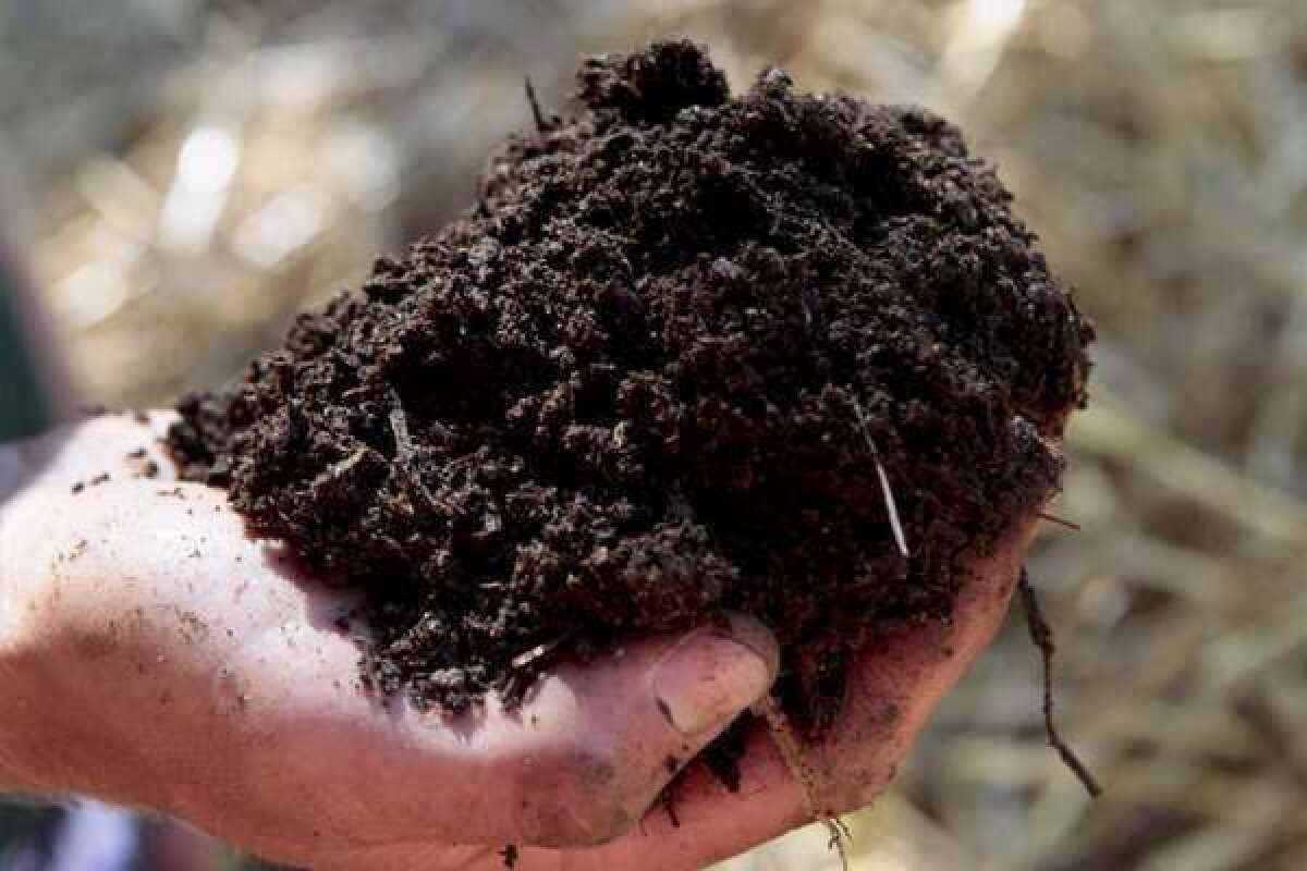 Secret ingredients, elaborate techniques, expensive equipment: Oh, the things gardeners seek in hopes of generating nutrient-rich, sweetly scented compost.