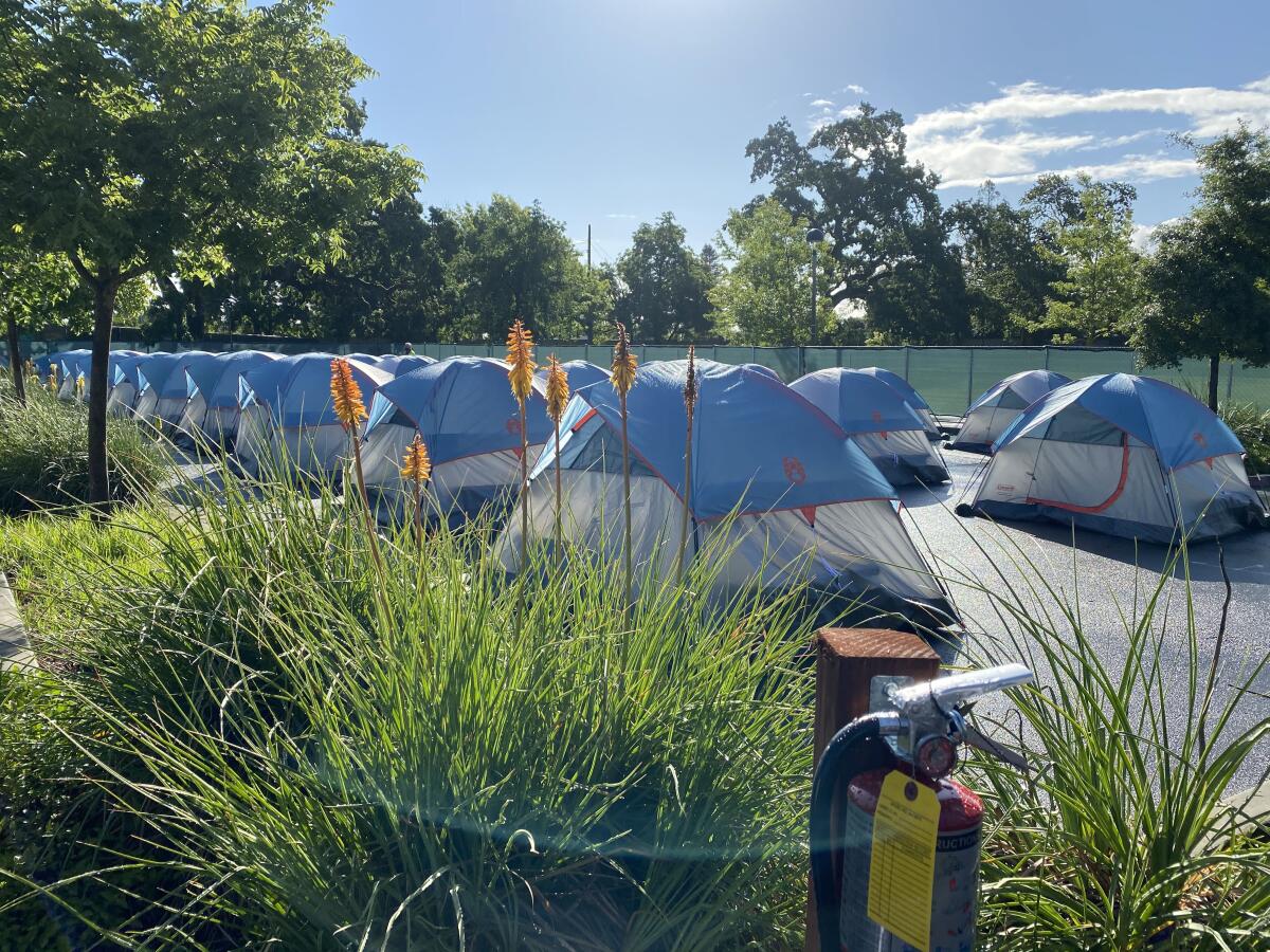 Identical tents are lined up in rows.