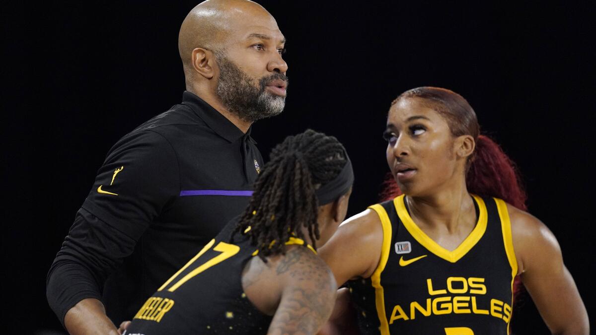 Finally, people are beginning to notice WNBA and the Sparks - Los Angeles  Times