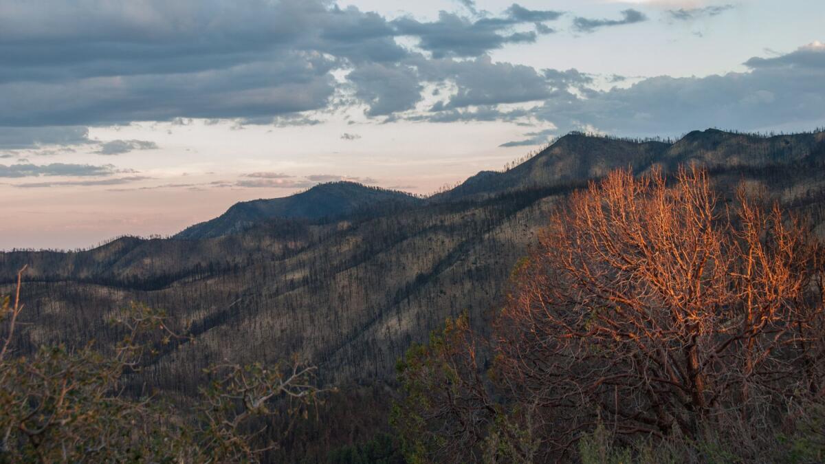 This late sunset view of the charred remains of a major fire in the Gila National Forest in 2013.