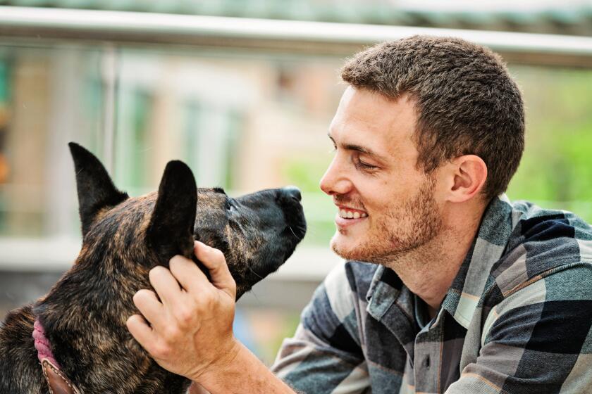 Gazing into your dog's eyes helps to reinforce your bond.