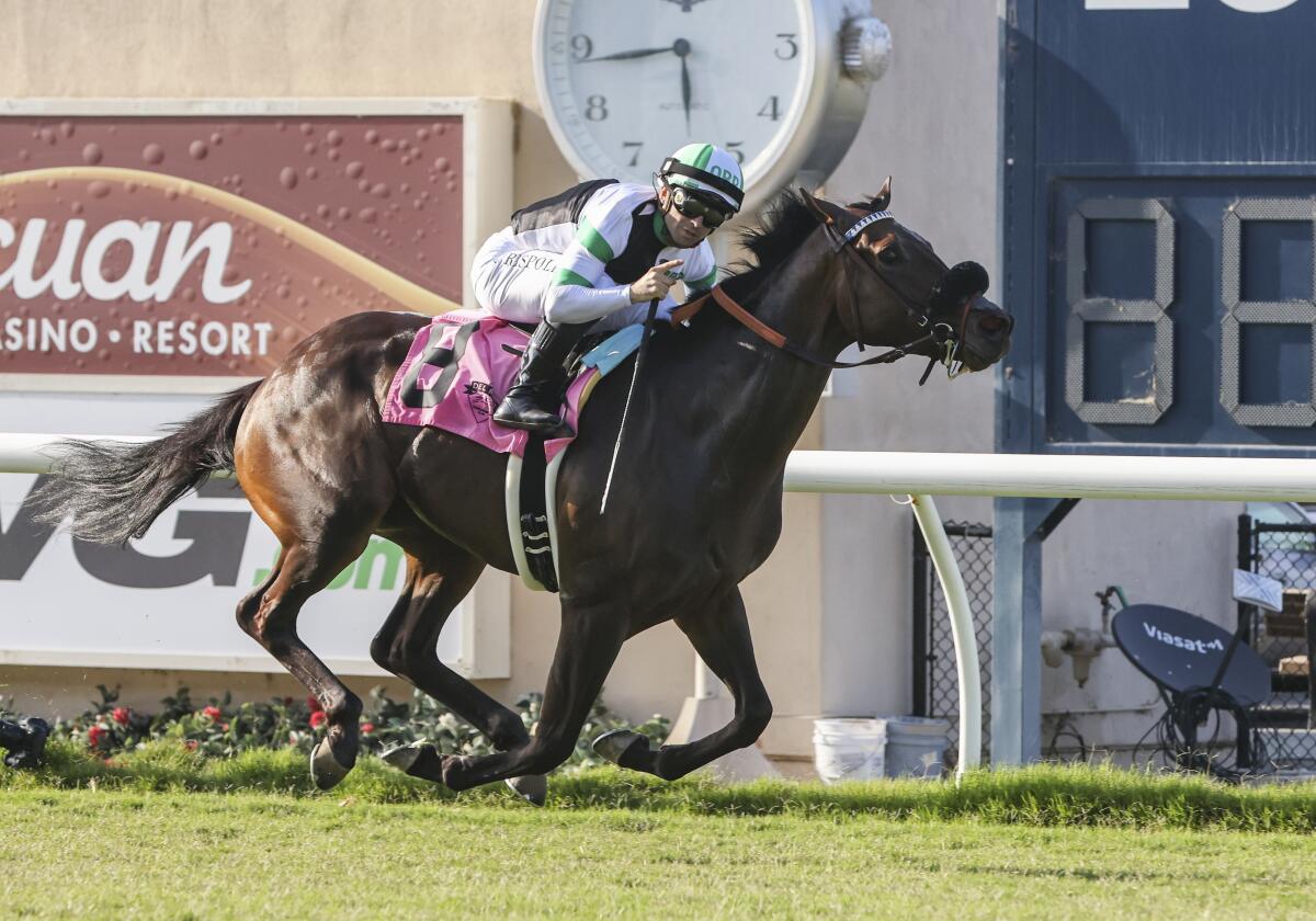 Balnikhov wins the Oceanside Stakes with jockey Umberto Rispoli on opening day Friday at Del Mar Racetrack.