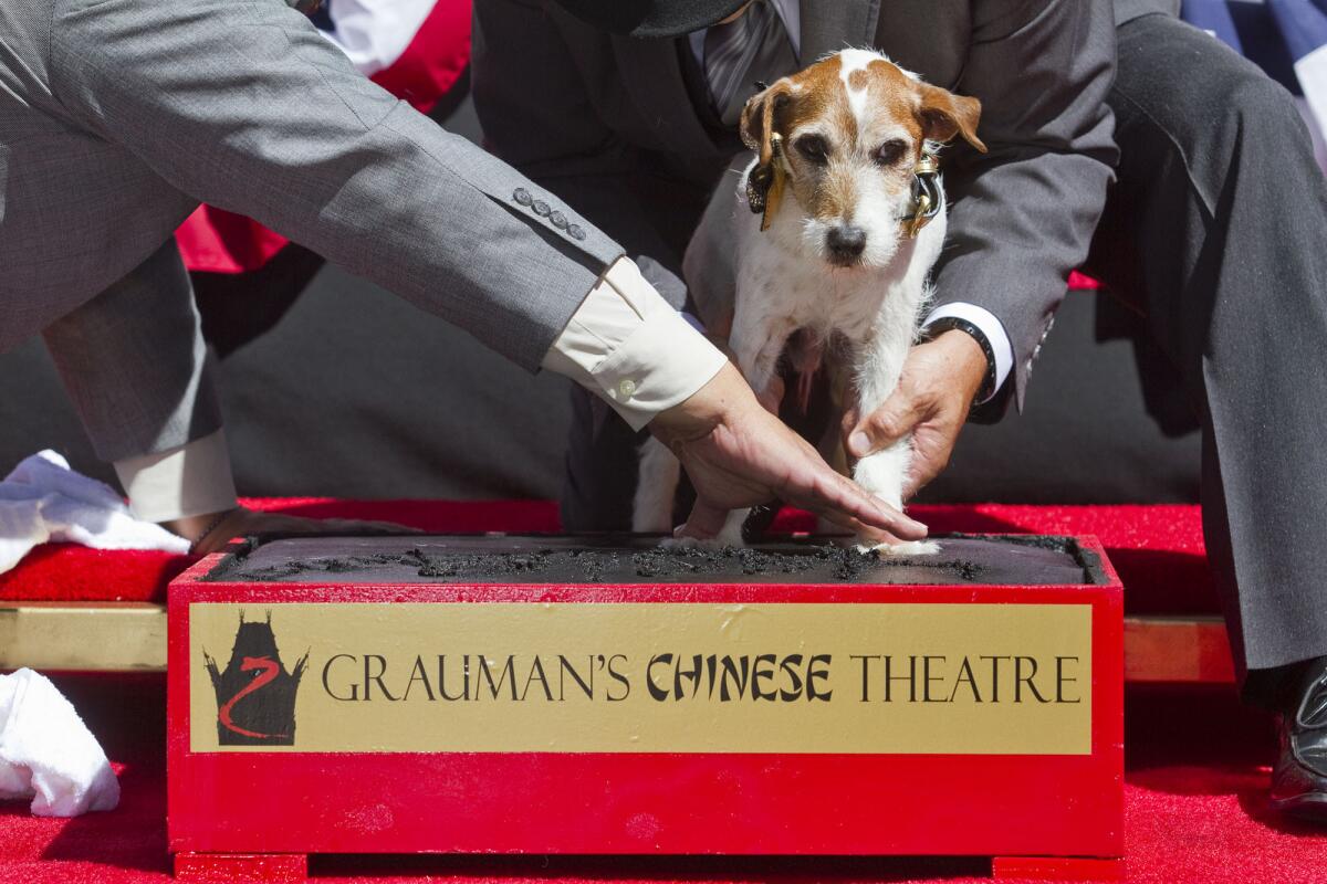 Uggie, the canine star of "The Artist," becomes the first dog to make a paw cast in the famed cement in the forecourt of Grauman's Chinese Theatre.