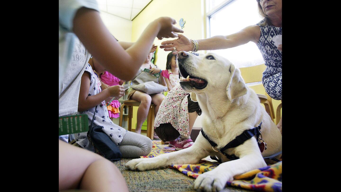 Photo Gallery: Children read to therapy dog at Montrose Library