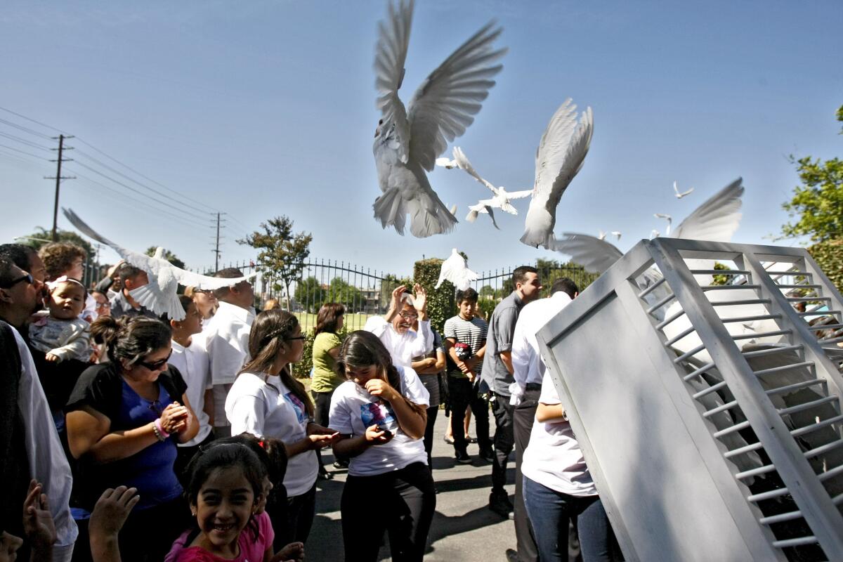 Nineteen doves were released after funeral services for Sameer Nevarez, symbolizing his upcoming 19th birthday, at Pierce Brothers Valhalla in North Hollywood on Saturday, Oct. 12, 2013.
