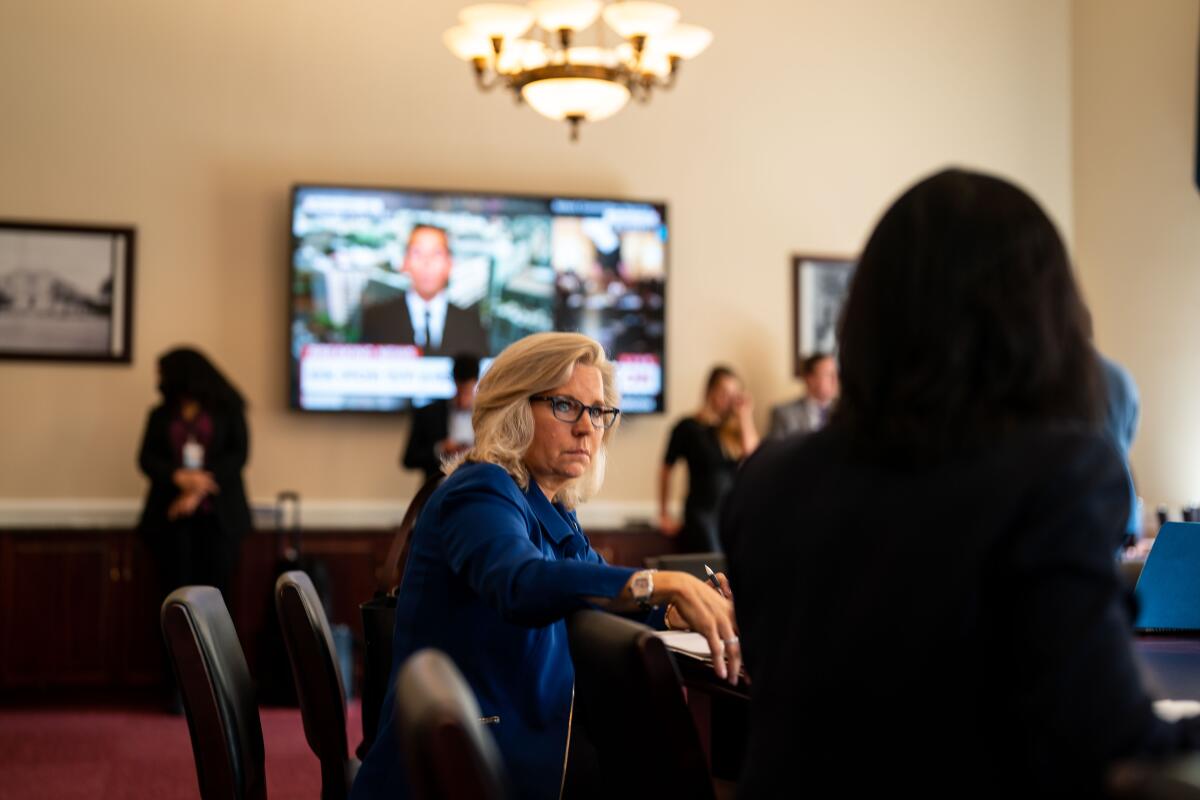 Rep. Liz Cheney speaks with someone at a table.