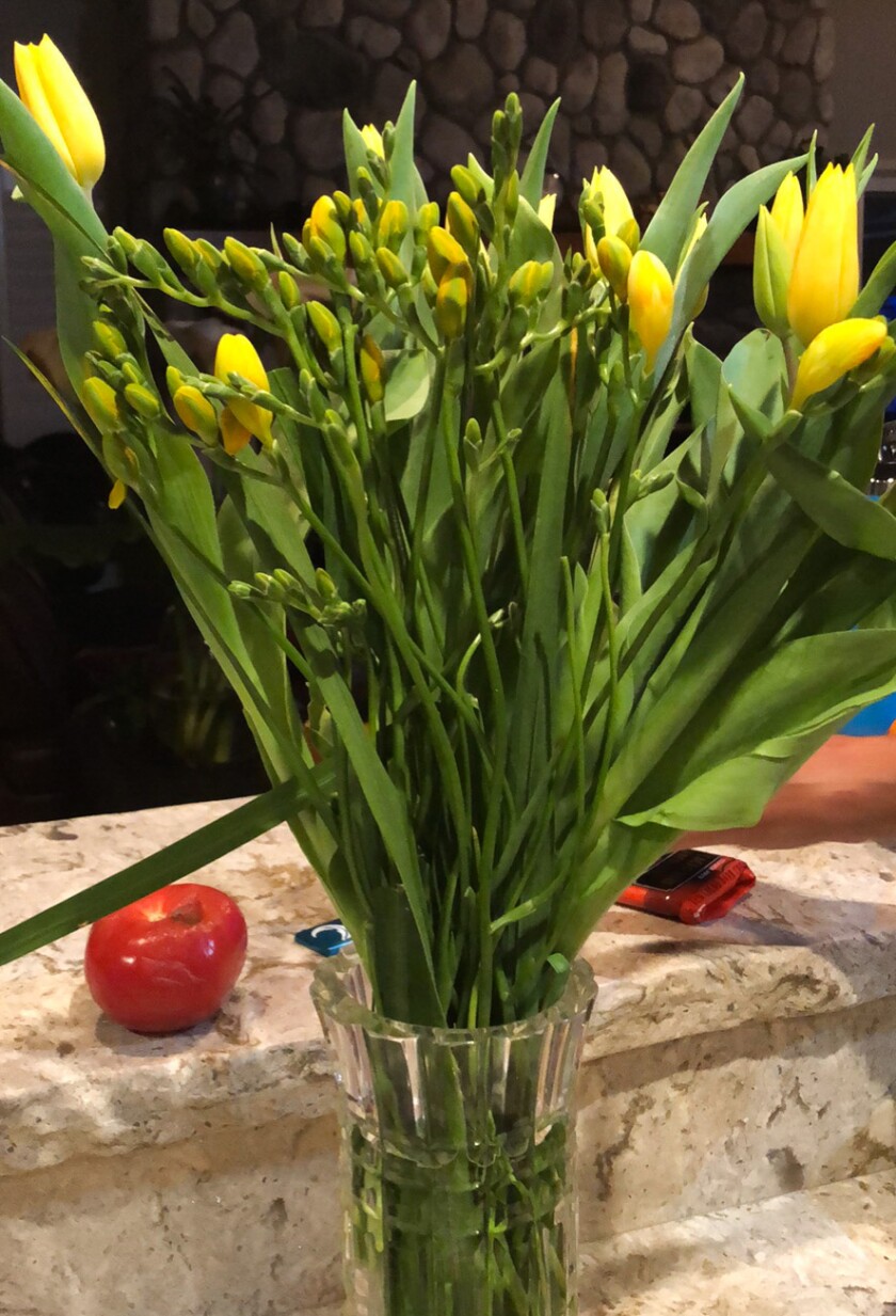 Holland America said it with flowers.