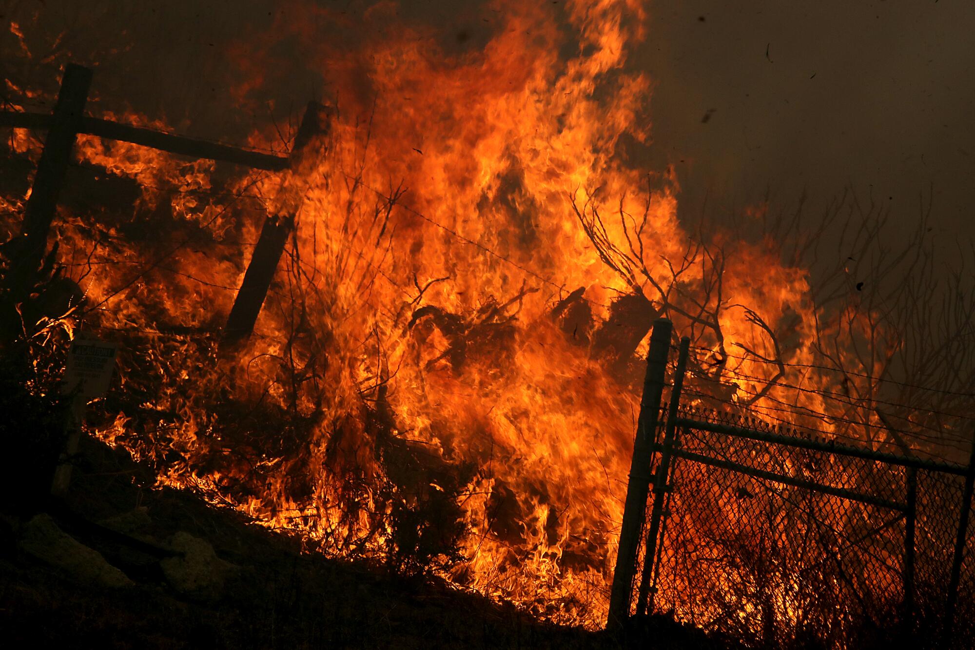 Flames burn near a fence line