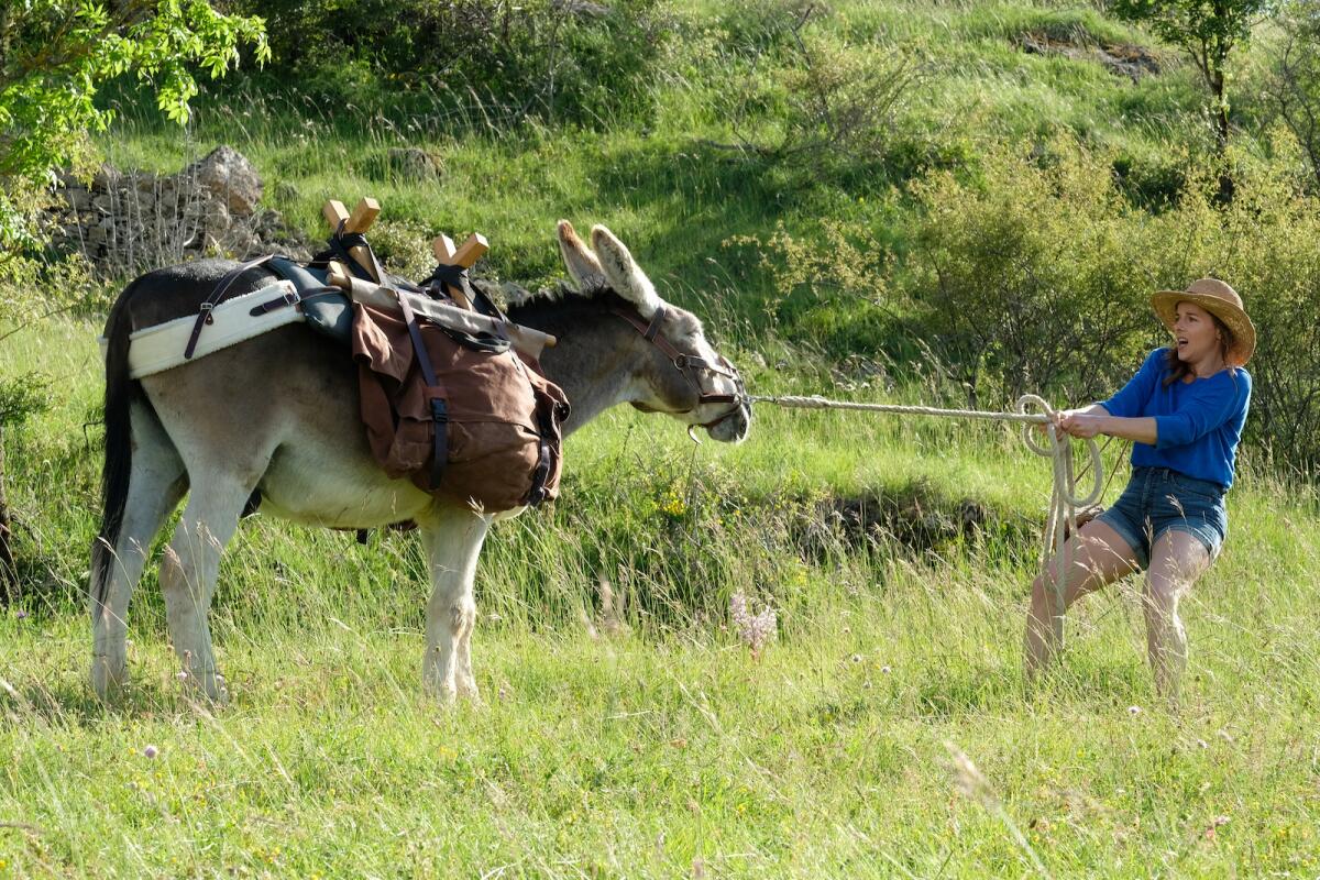 A woman pulls a reluctant donkey with a rope in the movie "My Donkey, My Lover and I."