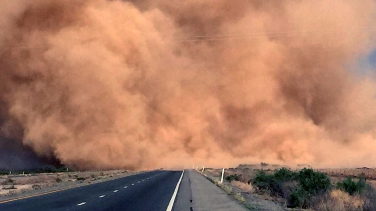 A desert dust storm known as a haboob engulfs Interstate 10 near San Simon, Ariz., in May.