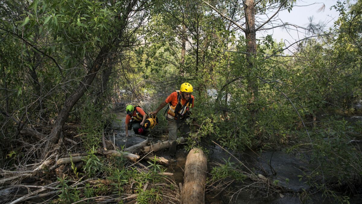 Ransom Yarger, right, and Paulina Stanfield search for a missing person in the mud and trees along the shore of the Kern River.
