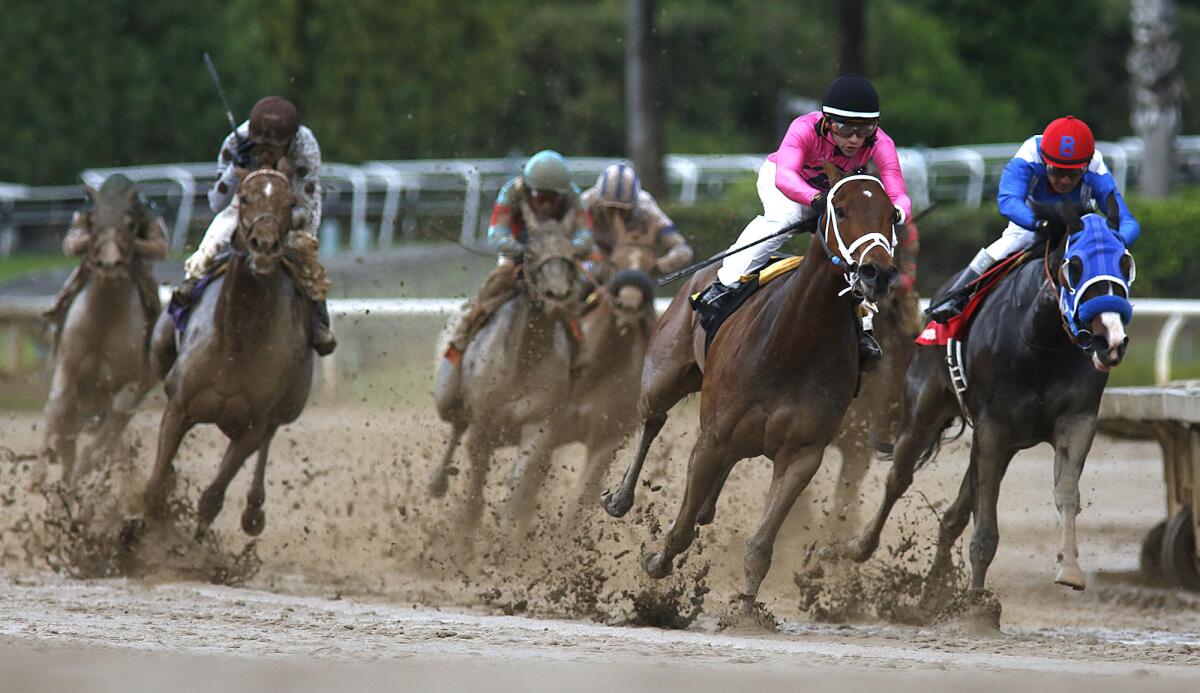 Horses race on a sloppy track at Santa Anita Park on April 9, 2016.