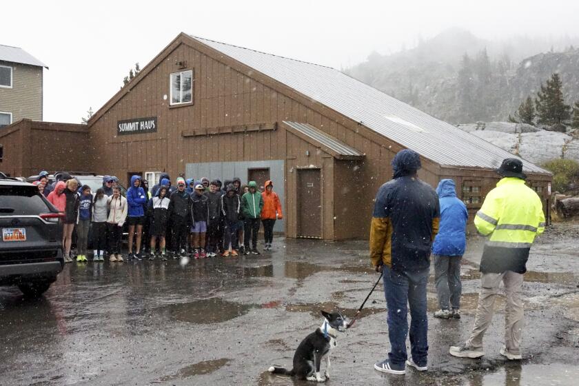 Un grupo de atletas que habían viajado desde Davis, California, se agrupan después de que su práctica fuera cancelada debido a las condiciones de humedad y nieve el sábado 24 de agosto de 2024, en Donner Summit, California (Foto AP/Brooke Hess-Homeier).