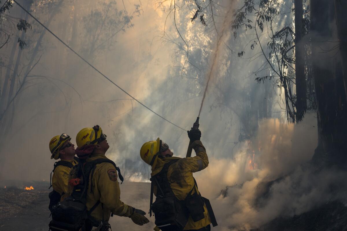 A firefighter sprays a hose up into trees as two other firefighters stand nearby amid smoke and flames