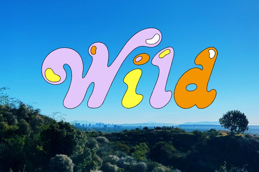 The wild logo
