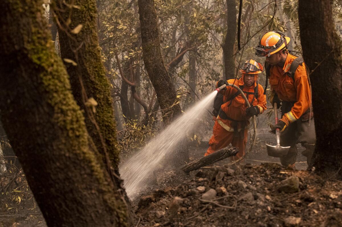 A fire crew drowns embers on the Bear fire on Friday in Oroville, Calif.