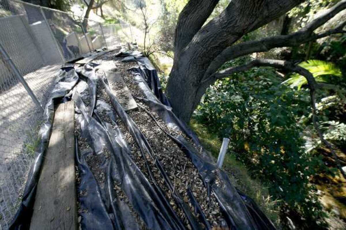 The Flint Wash Trail is washed out near the undercrossing of the Foothill (210) Freeway in La Canada Flintridge. La Canada Flintridge, Los Angeles County and the Santa Monica Mountains Conservancy recently combined to dedicate $150,000 for fixing part of the trail.