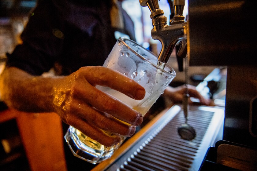 Beer on tap is dispensed into a glass