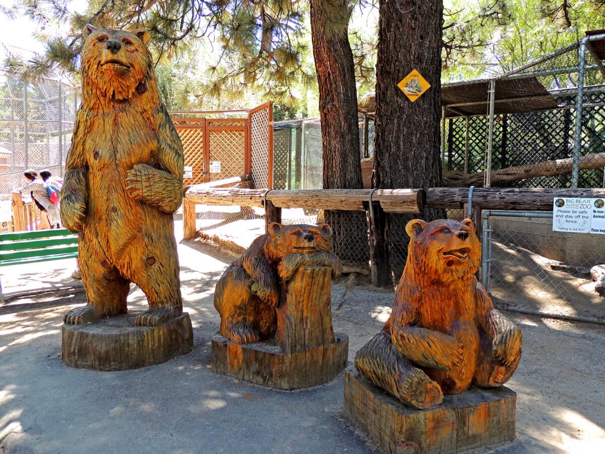 BIG BEAR, CA: BIG BEAR ALPINE ZOO: Some carved wooden bears get to roam free.