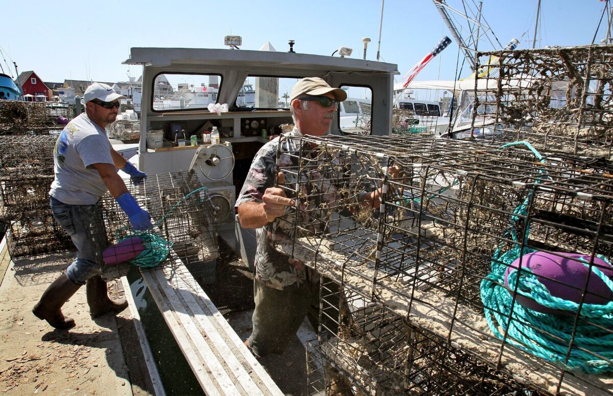 Workers load lobster traps onto a boat at the Oceanside harbor in September.