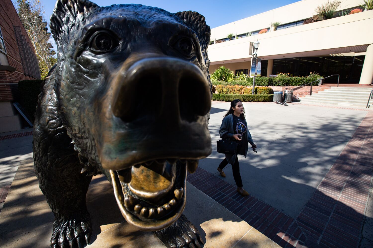 UCLA frat house burglarized by laptop thieves as students slept