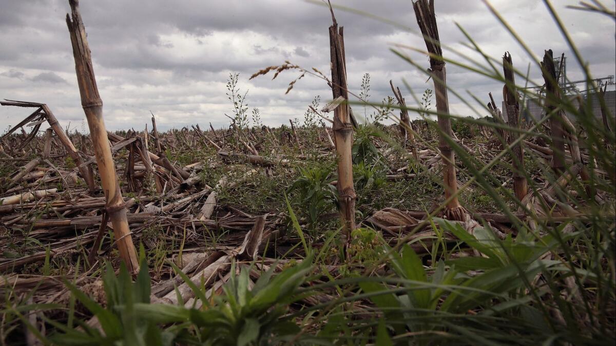 Rain clouds pass over an unplanted farm field May 29 near Emden, Ill.