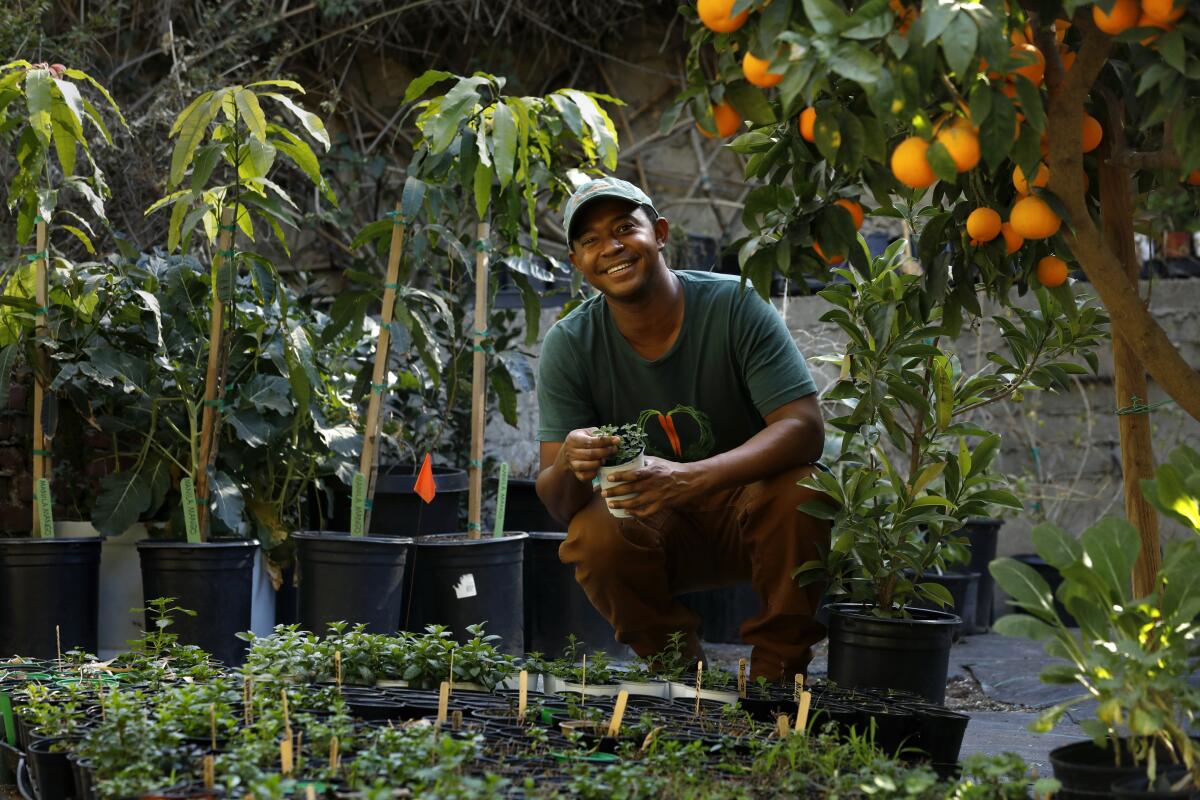 A man smiles while crouching down by seedlings and holding one 