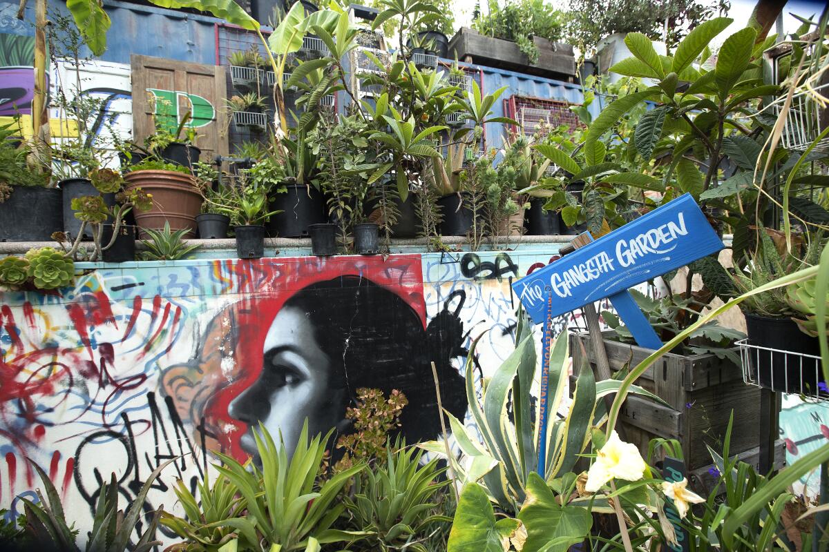 Potted plants grow in and above the swimming pool in Ron Finley's backyard, around a mural painted by his adult son Delfin. 