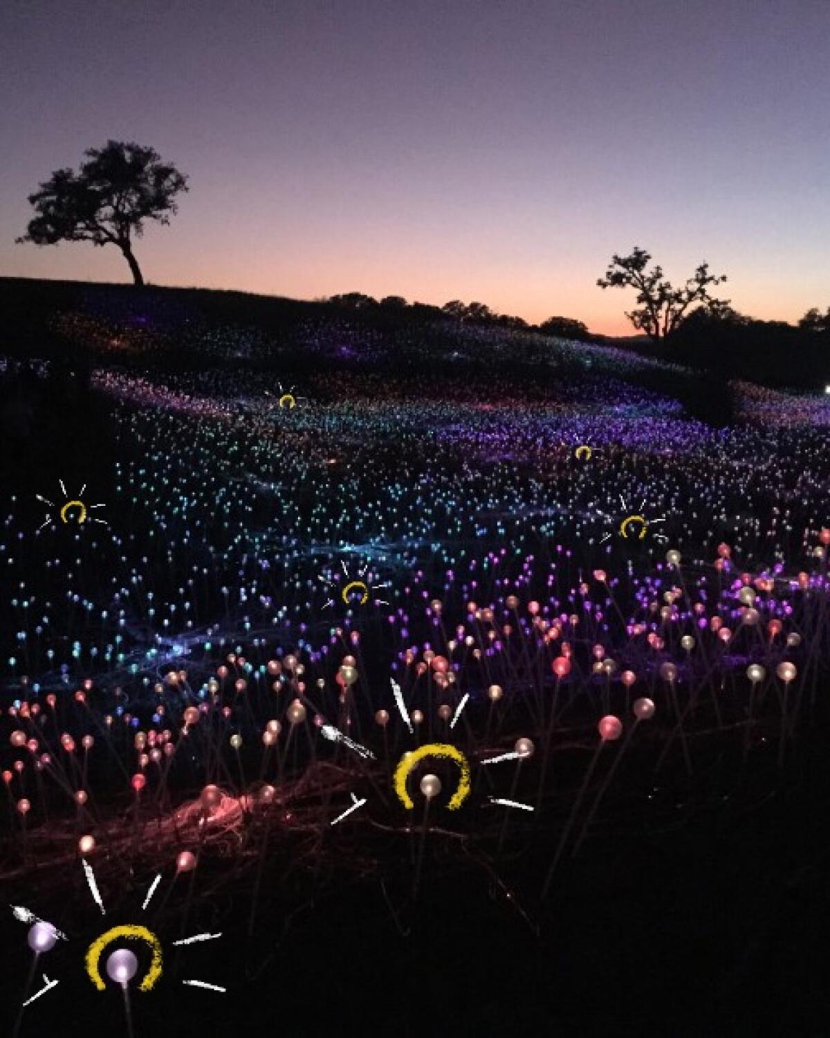 Dusk settles at the “Field of Light at Sensorio” as the lights illuminate.