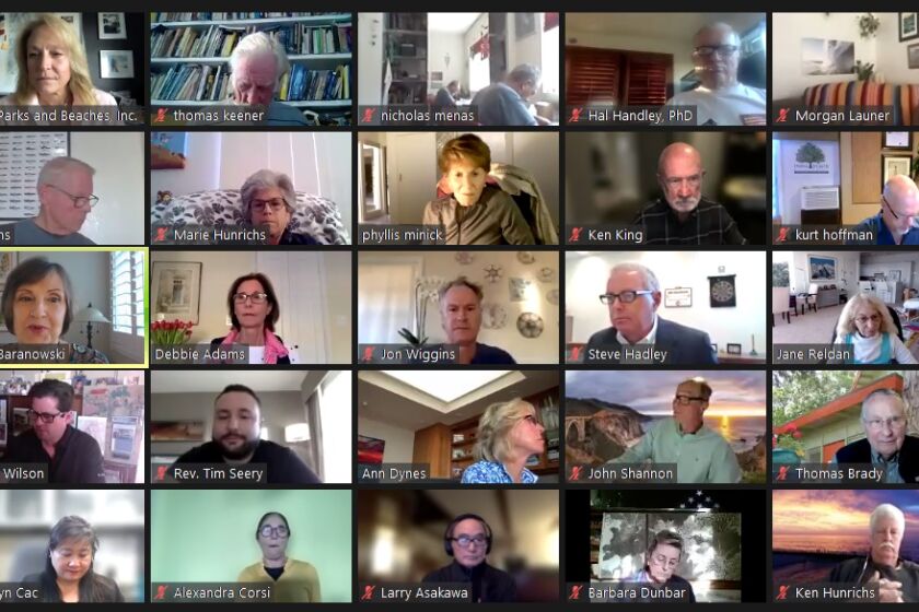 The La Jolla Parks & Beaches committee during the Jan. 24 meeting online.