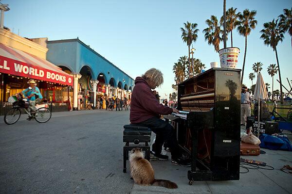 Cat watches musician Nathan Pino