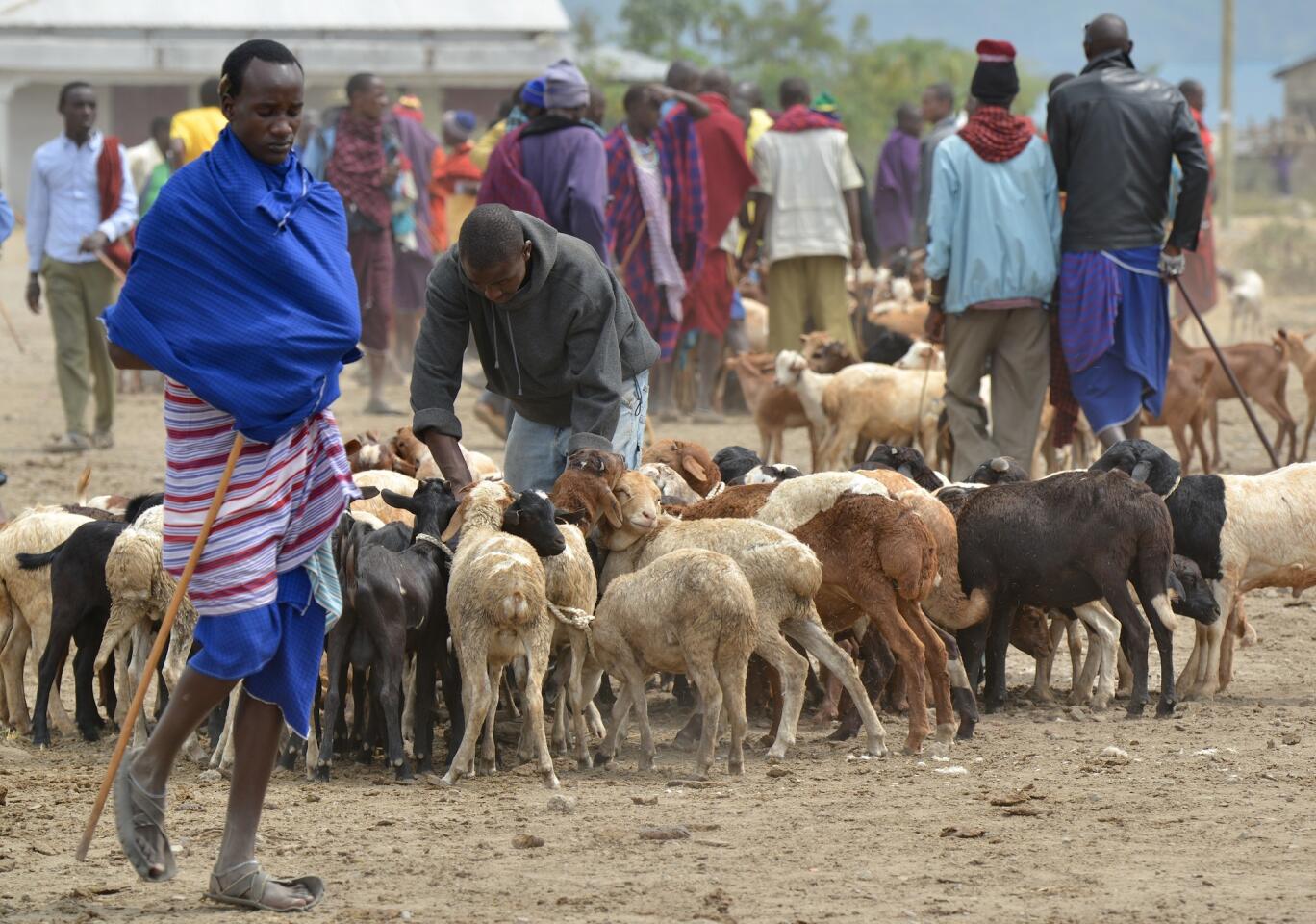 Masai market