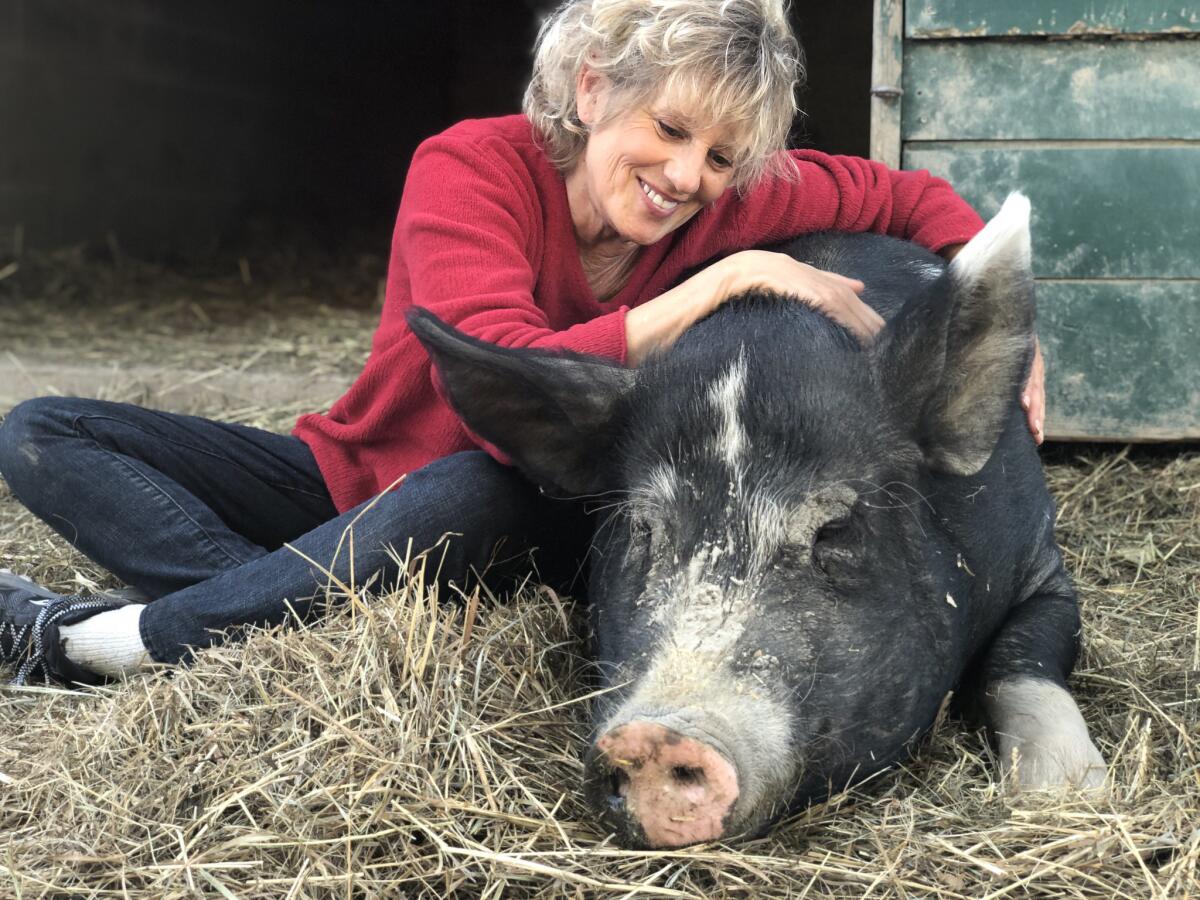 Kathy Stevens sits next to a hog resting on straw.