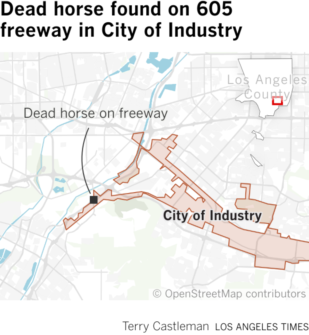 Map showing 605 freeway location where dead horse was found