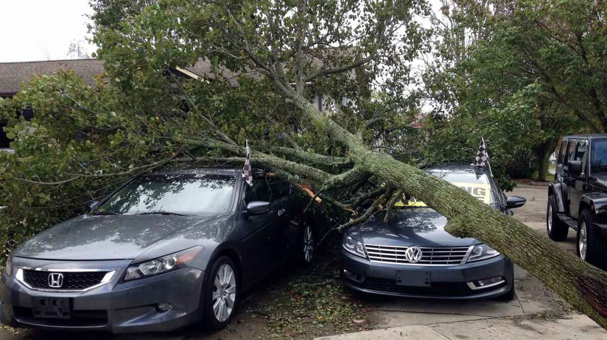 A tree toppled by strong winds fell on cars for sale at Demo's Auto Sales in Warwick. R.I., on Monday night.