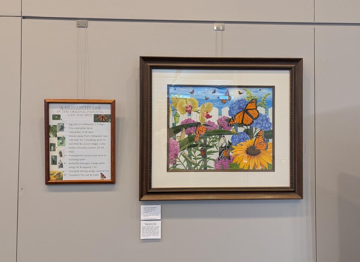 Kathy Kehoe Bambeck's painting “A Monarch’s Life” displayed on a wall.