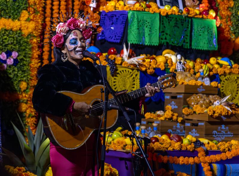 A woman plays guitar and sings