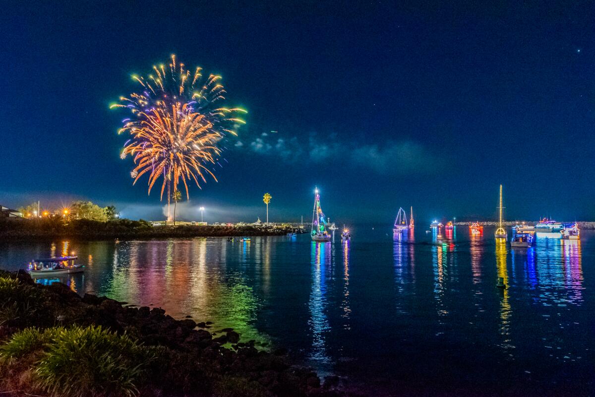 Fireworks light up the sky and reflect in the dark water along a beach. 