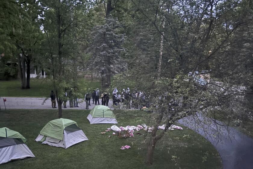 Esta foto suministrada por Sarah Hubbard, presidenta de la junta de gobierno de la Universidad de Michigan, muestra a manifestantes propalestinos afuera de su casa en Okemos, Michigan, el miércoles 15 de mayo de 2024. (Sarah Hubbard vía AP)