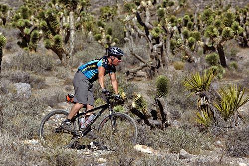 Outdoor fun near Las Vegas includes the mountain-biking trails in Blue Diamond. The trails weave through desert and canyons on a single track. Visitors can rent a bike and take a 13-mile loop. Take plenty of water.