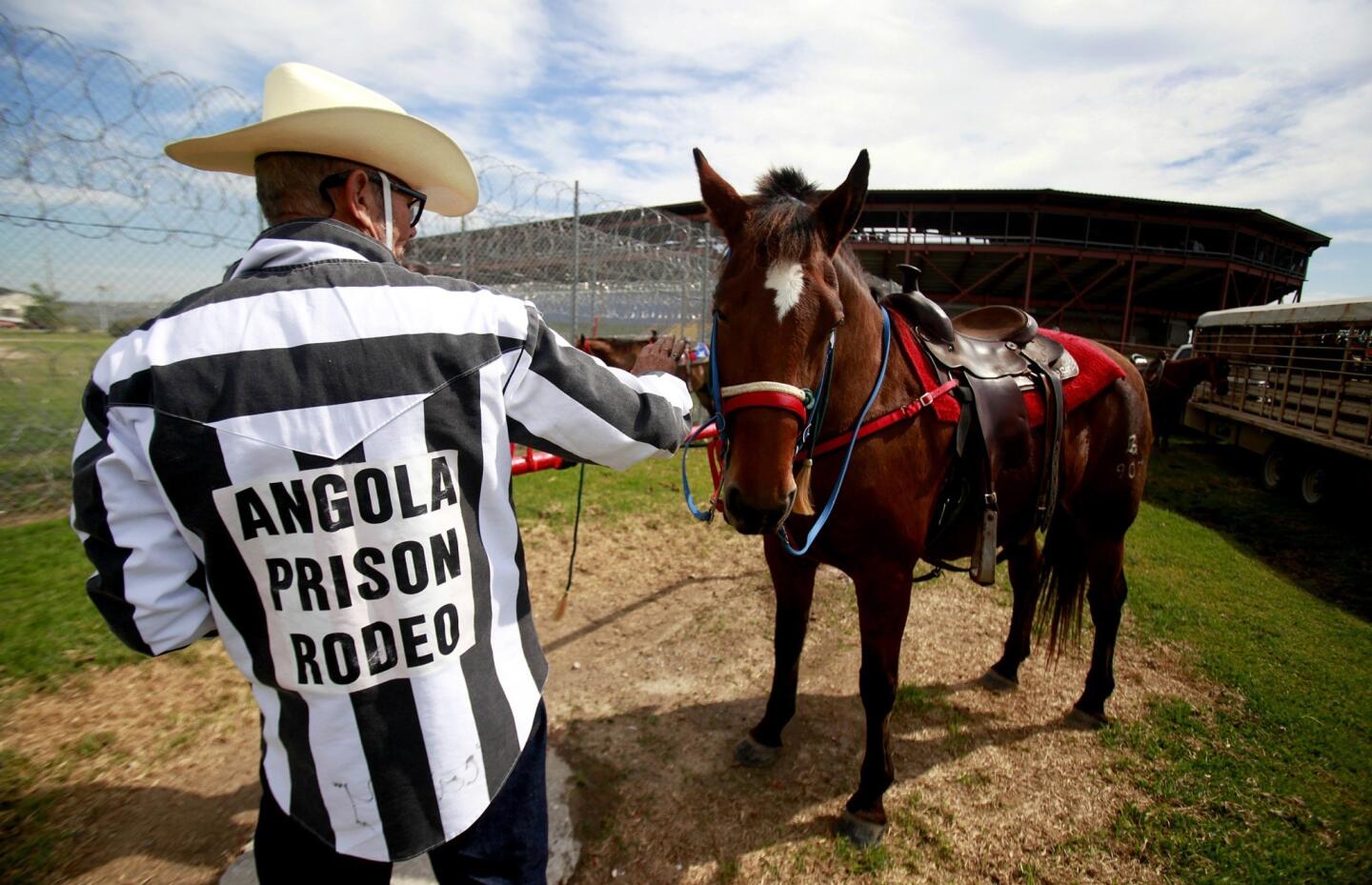 Inmate and horse