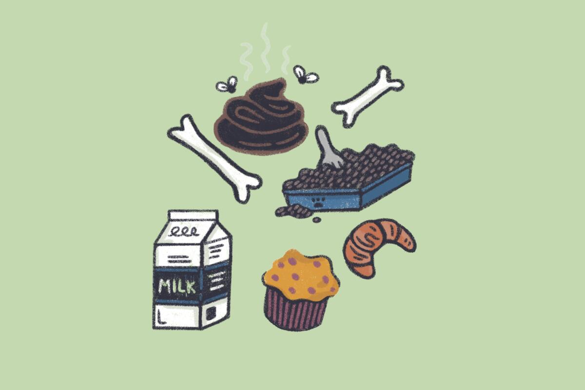 Illustration of things not to compost, including bones, a cupcake, a croissant and milk.