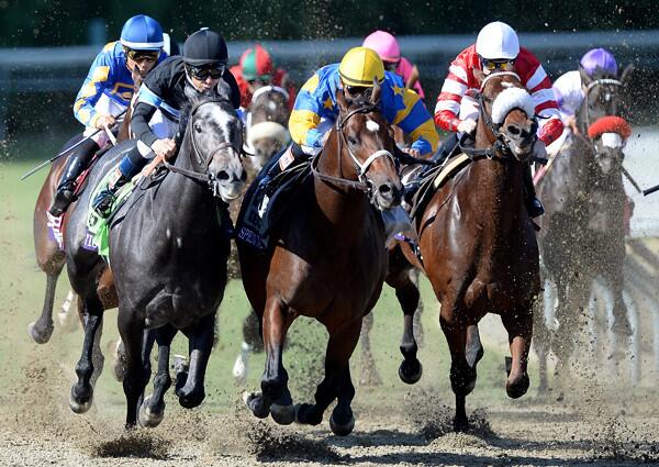 Mizdirection, with jockey Mike Smith, makes the turn on the outside before heading to victory in the