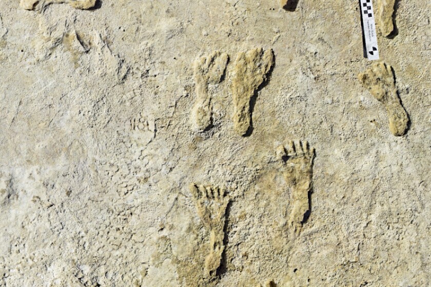 Esta foto sin fecha facilitada en septiembre de 2021 por el Servicio de Parques Nacionales, muestra huellas humanas fosilizadas en el Parque Nacional de White Sands, en Nuevo México. Según un informe publicado en la revista Science el jueves 23 de septiembre de 2021, las impresiones indican que los primeros humanos caminaban por América del Norte hace unos 23.000 años, mucho antes de lo que los científicos pensaban. (NPS vía AP)