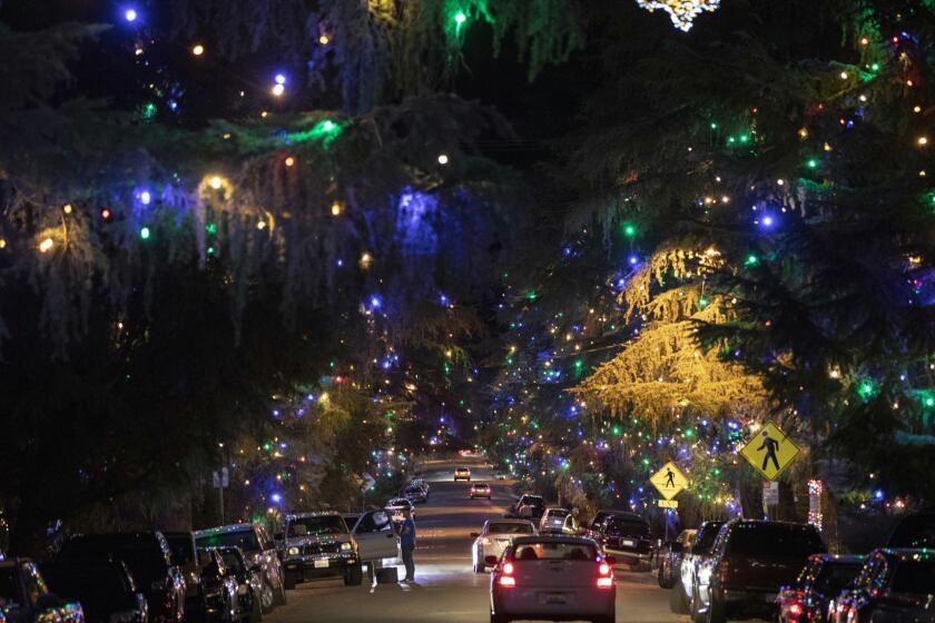 LOS ANGELES - DECEMBER 9, 2018: Motorists cruise Santa Rosa Avenue, better known as Christmas Tree Lane, in Altadena, California to view the 0.7 mile of deodar cedar trees that have been lit by community volunteers annually since 1920. In 1990, the lane was designated as California Historical Landmark No. 990. (Calvin B. Alagot / Los Angeles Times)