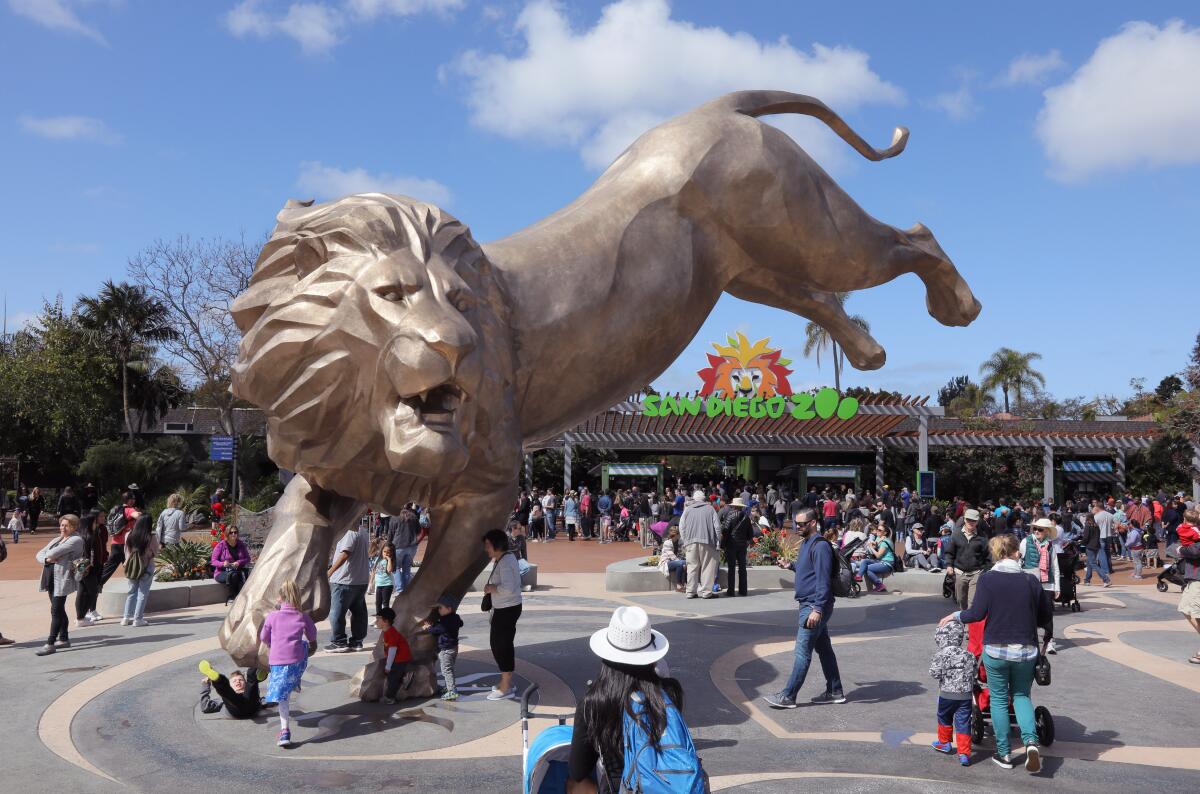 Crowds under a large statue of a pouncing lion at the entrance of the San Diego Zoo